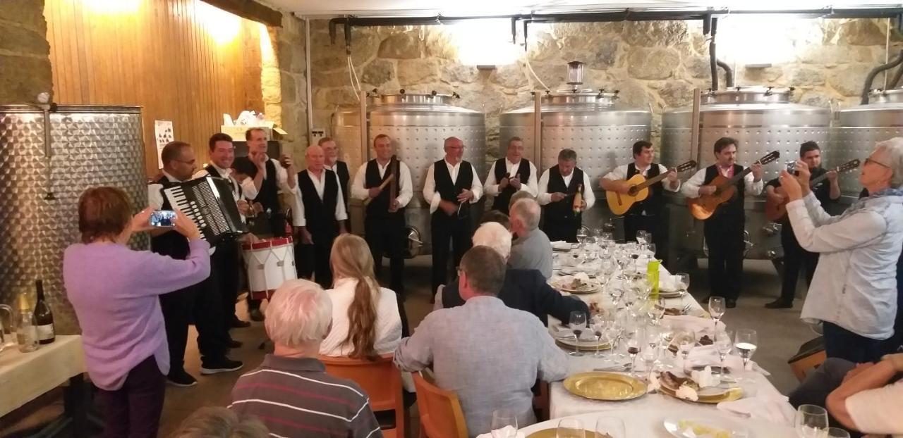 Quinta Do Medronheiro Hotel Rural Viseu Dış mekan fotoğraf