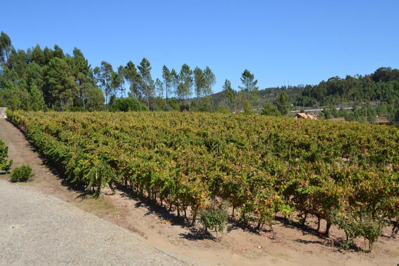 Quinta Do Medronheiro Hotel Rural Viseu Dış mekan fotoğraf