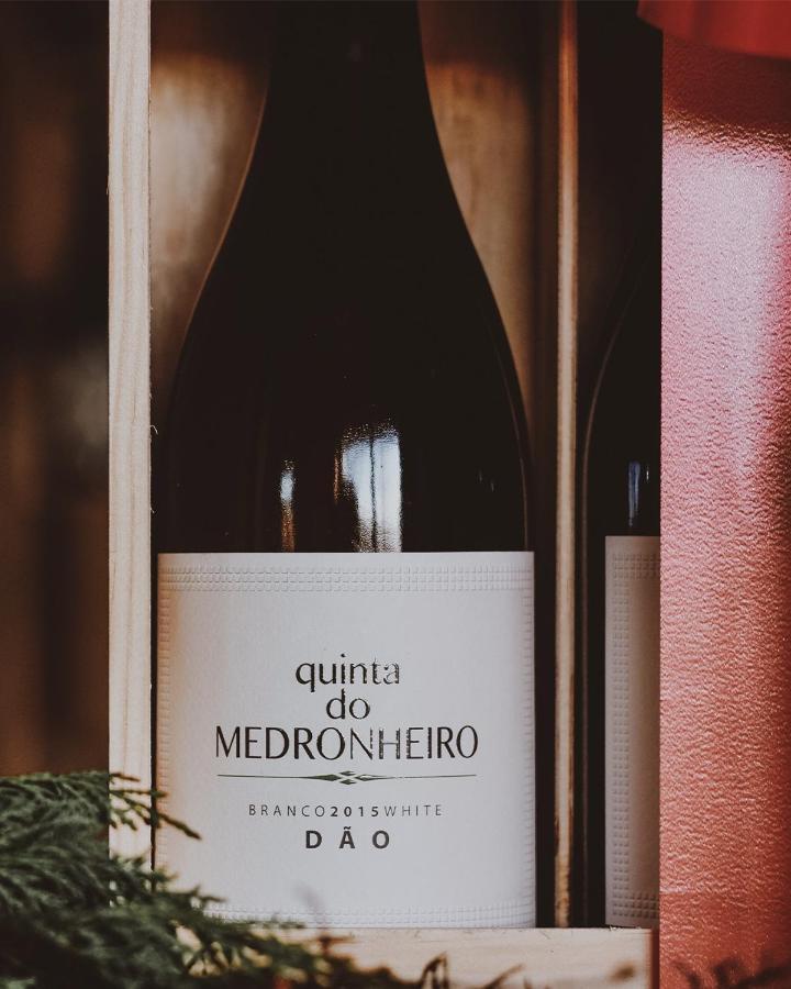 Quinta Do Medronheiro Hotel Rural Viseu Dış mekan fotoğraf