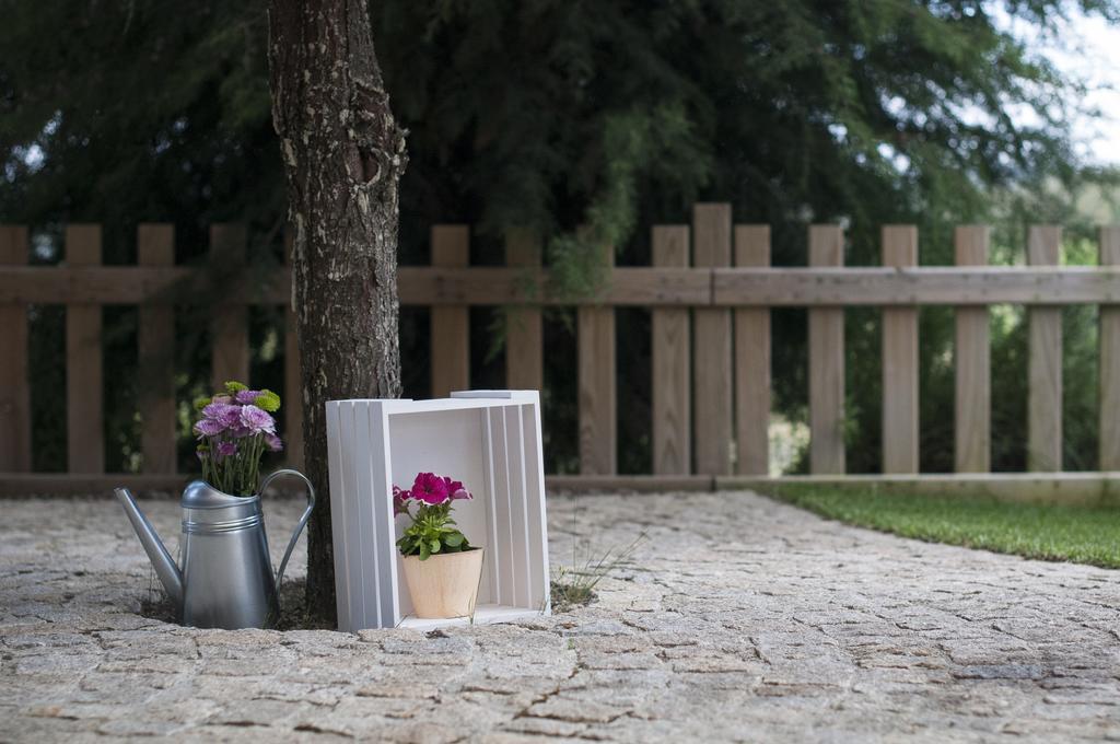 Quinta Do Medronheiro Hotel Rural Viseu Dış mekan fotoğraf